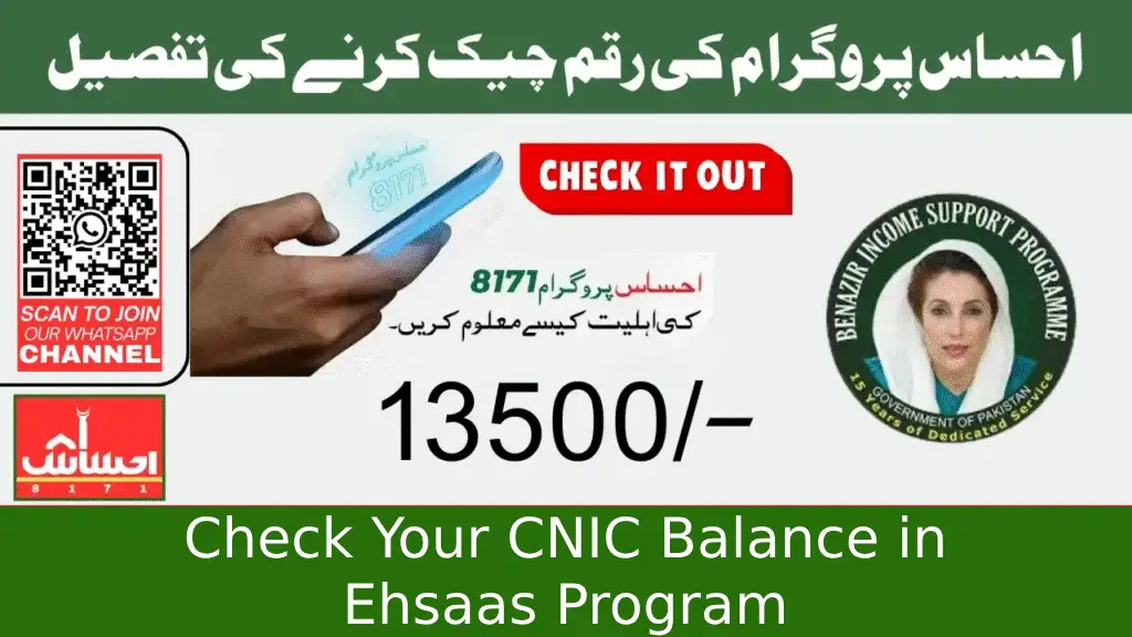 How to Check Your CNIC Balance in Ehsaas Program 2025