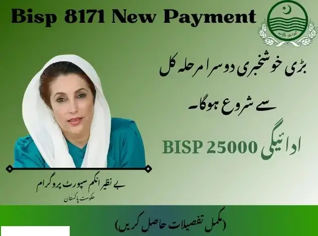 How to Check Benazir Income 25000 by CNIC in 2025
